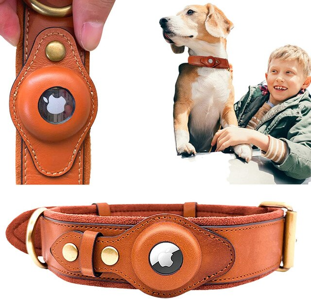 Leder-AirTag-Hundehalsband