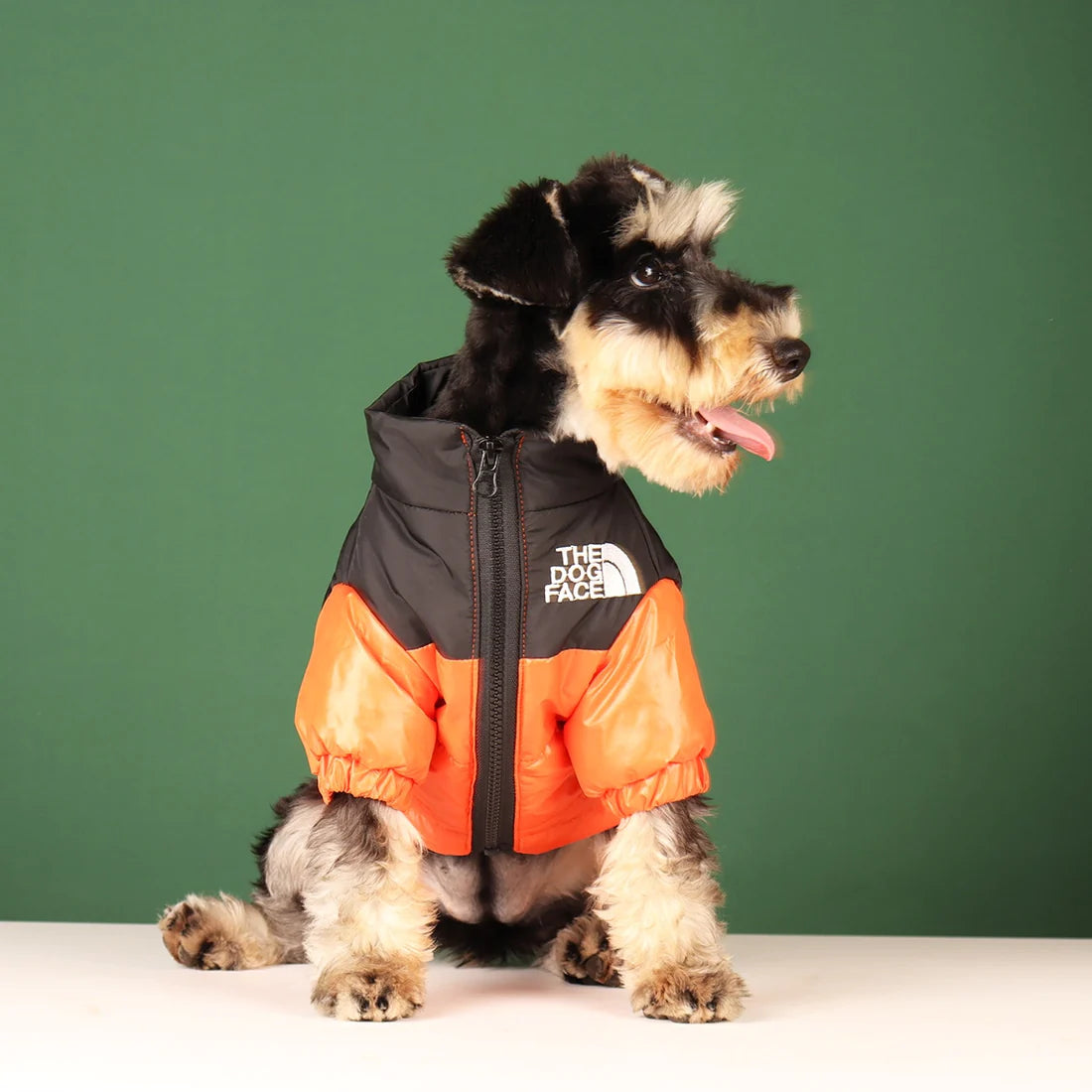 Winddichte & Reflektierende Hundejacke "The Dog Face"