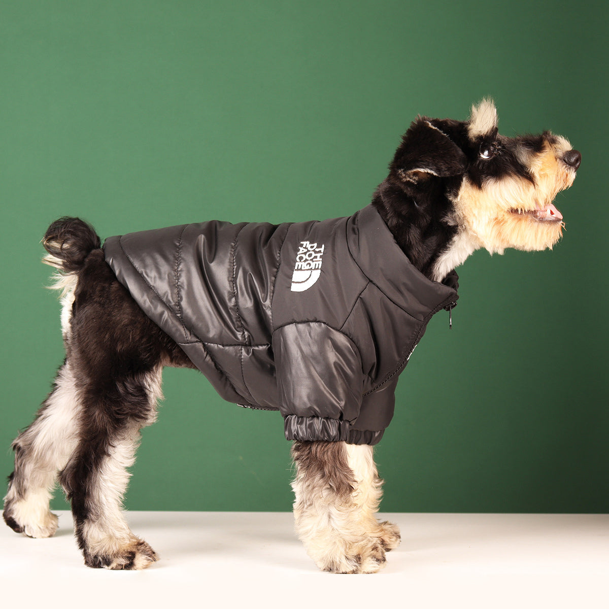 Winddichte & Reflektierende Hundejacke "The Dog Face"